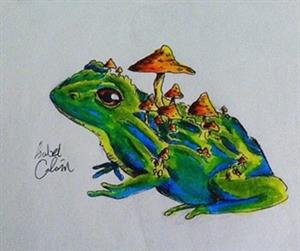 Izy frog 